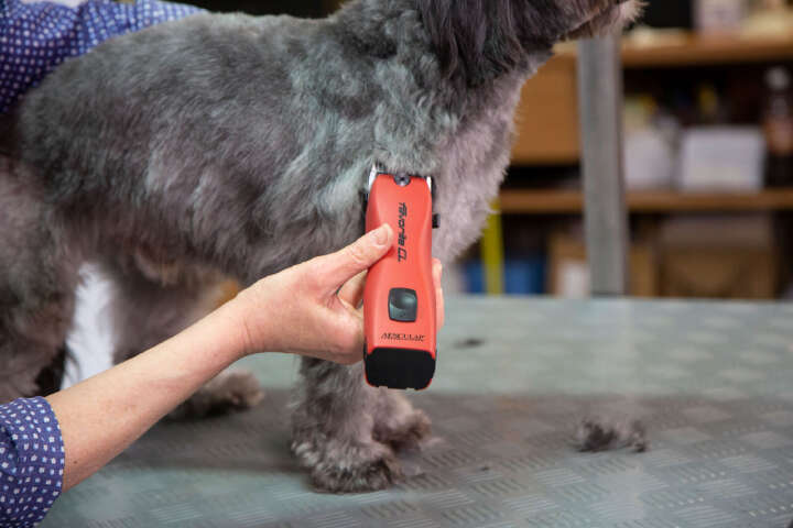 AESCULAP Akkuschermaschine Favorita CL